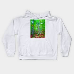 A Stand Of Birch Trees Kids Hoodie